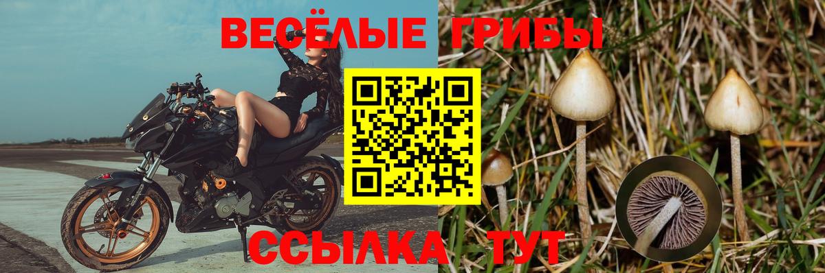 Всеволожск  Псилоцибиновые грибы мухоморы  Вход с VPN 