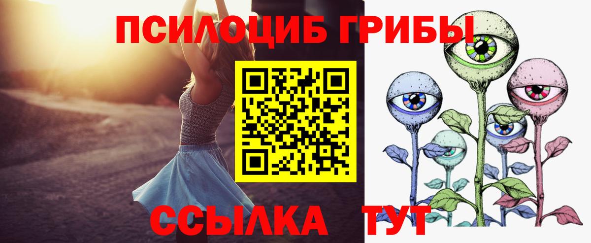 Псилоцибиновые грибы Psilocybe Всеволожск